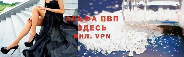 гашик Горняк