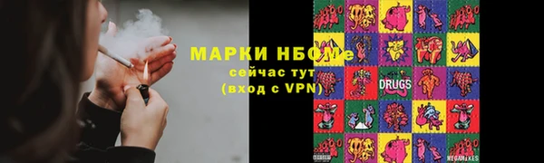 гашик Горняк