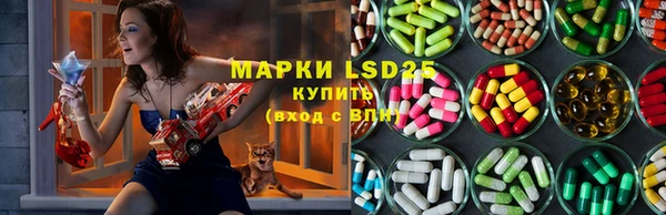 гашик Горняк