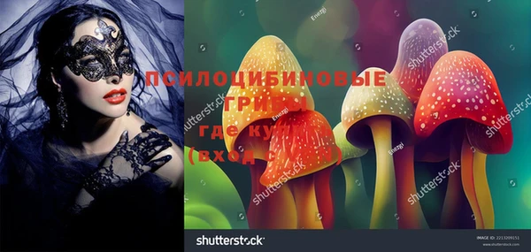кокс Вяземский