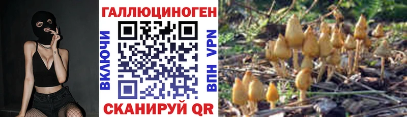 дарнет шоп  Петухово  Галлюциногенные грибы мухоморы 