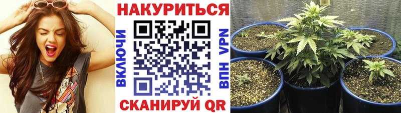 Марихуана конопля Петухово